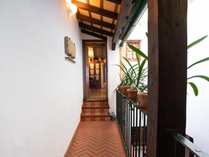 Historic House In The City Center 塞维利亚 外观 照片